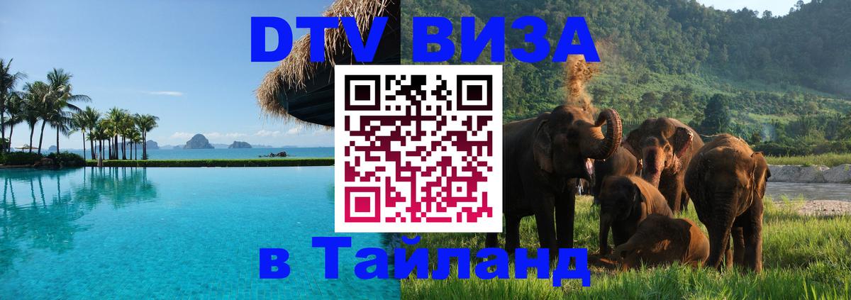 Оформление DTV визы под ключ: стоимость и тарифы, только загранпаспорт - Ковров  19.11.2025 